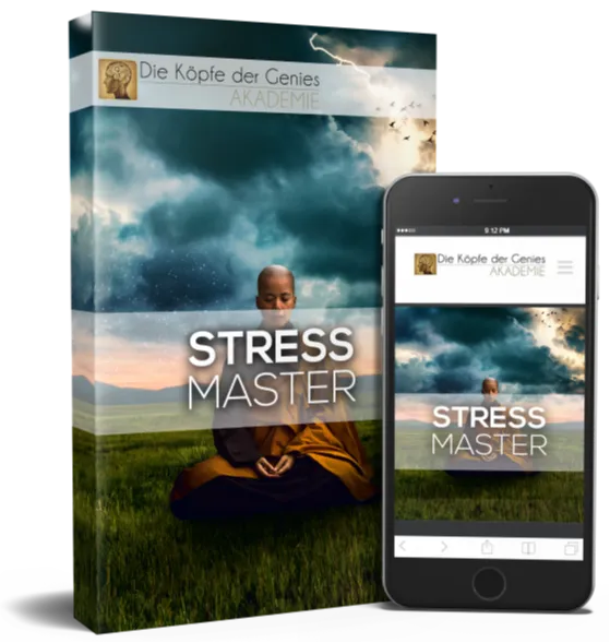 Stress Master Kurs Cover